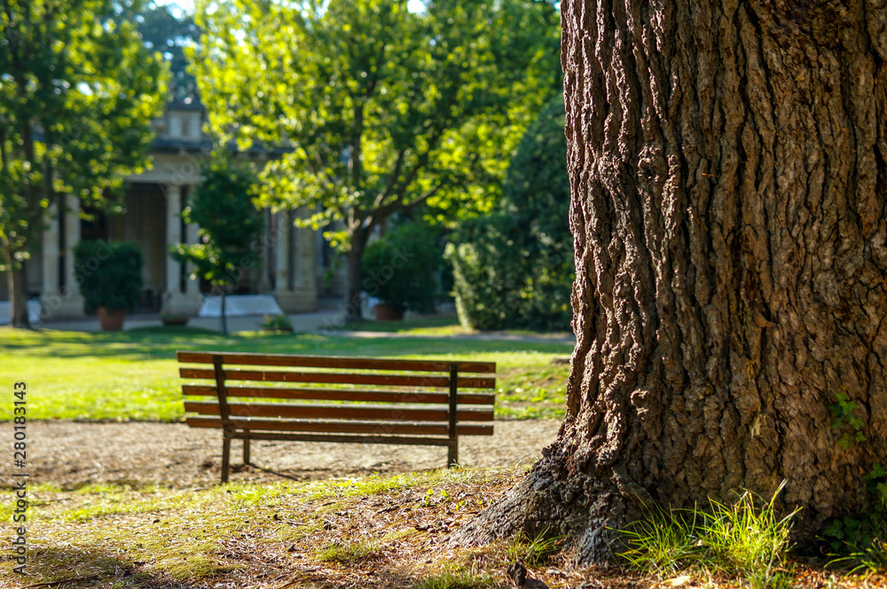 公园里的孤独长椅，专注于树木。美丽的春天公园