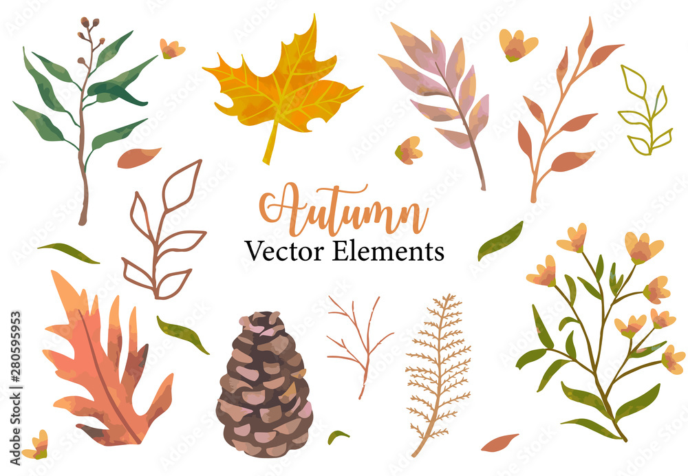 Autumn object set with dry tree,flower,acorn,leaves.Illustration for sticker,postcard,invitation,ele