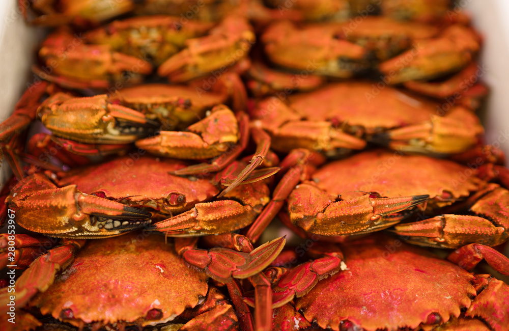红螃蟹背景躺在海鲜店里。健康的自然膳食概念形象。