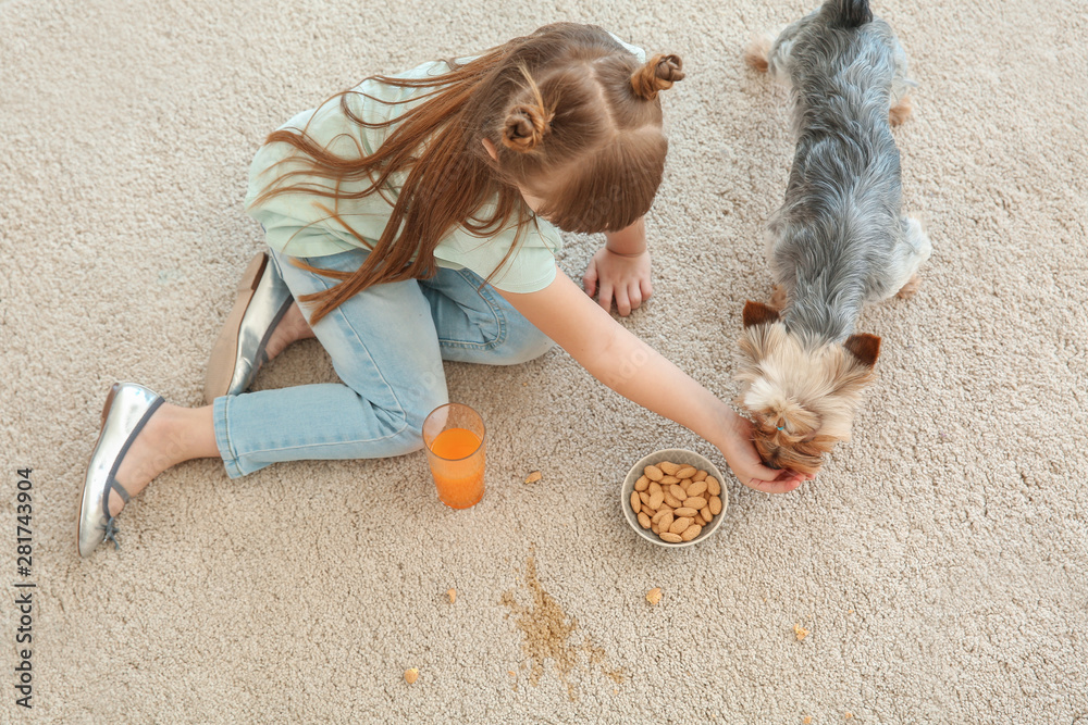 一个粗心的小女孩，带着狗坐在地毯上吃坚果喝果汁