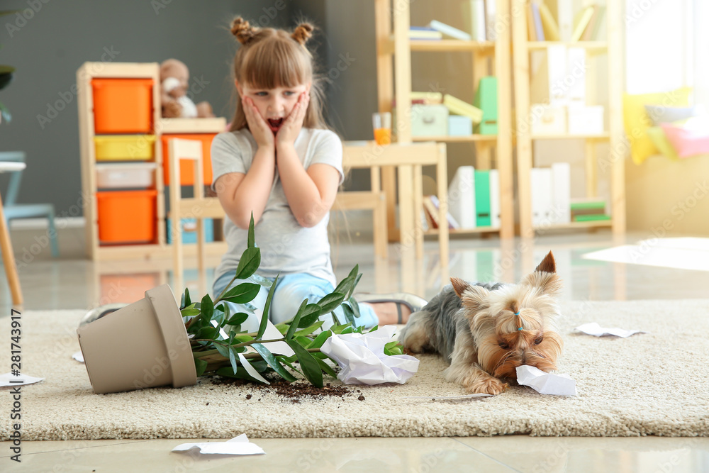 小女孩和她的狗靠近掉落的室内植物和地毯上的纸片