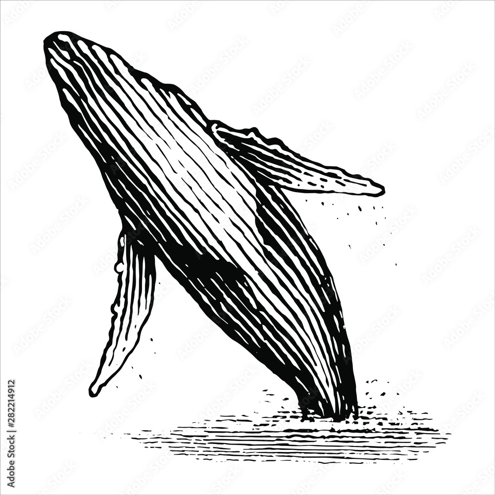 跳跃座头鲸的插图是一种复古风格