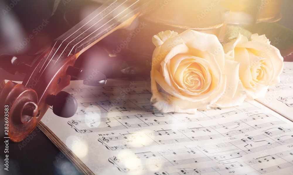 小提琴配乐谱和黑底白玫瑰