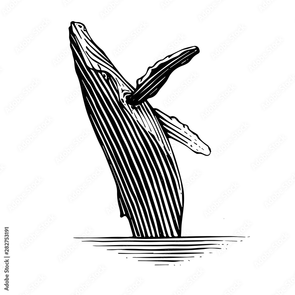 复古风格的座头鲸图片