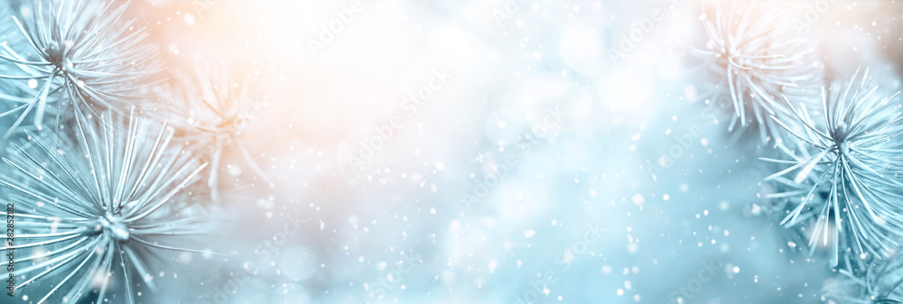 圣诞冬季雪背景，冷杉树枝宏观，焦点柔和，蓝色调降雪