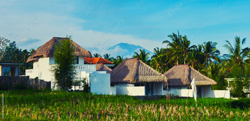 巴厘岛村庄的房屋和稻田。