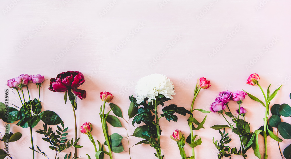 夏天的花朵平展。紫色的牡丹、粉色的玫瑰和郁金香、白色的菊花和绿色的膜
