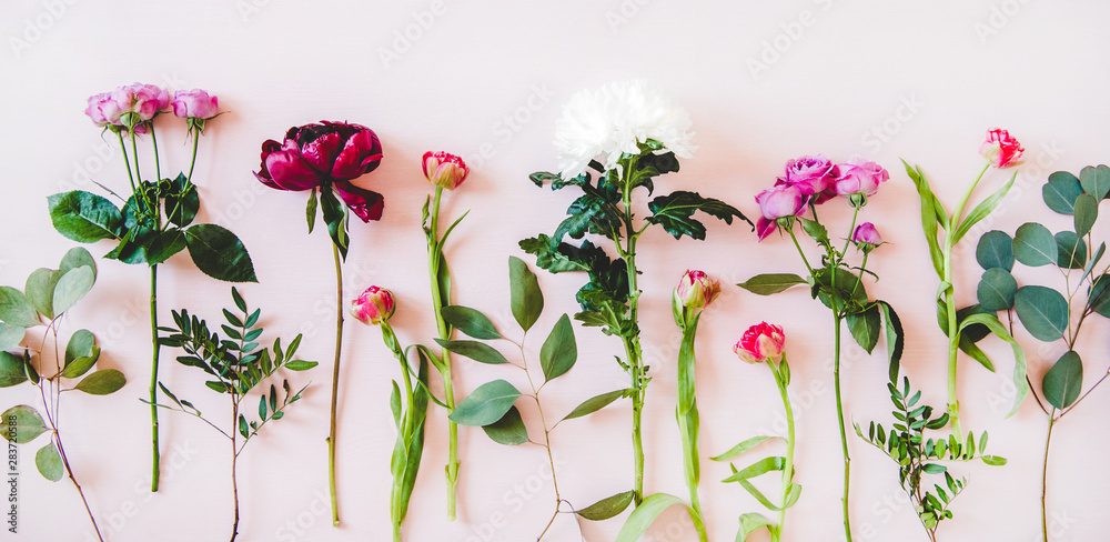 各种夏季花朵平展。紫色牡丹、粉色玫瑰和郁金香、白色菊花和gre