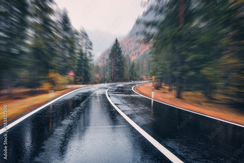 雨中秋林中的道路，具有运动模糊效果。阴天时完美的沥青山路
