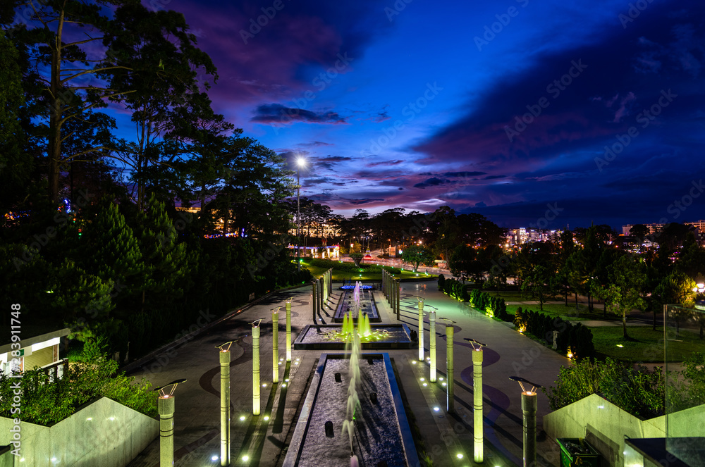 越南大叻市中心的喷泉