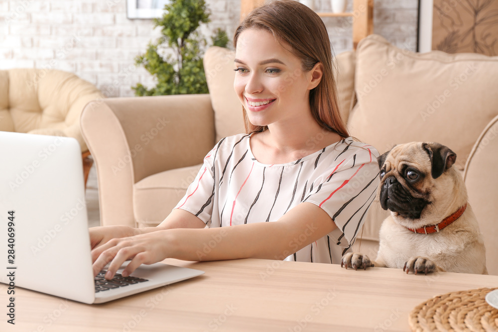 漂亮的年轻女人和可爱的哈巴狗在家里用笔记本电脑工作