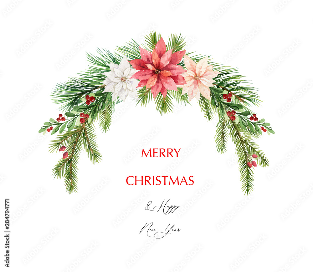 水彩矢量圣诞花环，带有冷杉树枝和一品红花朵。