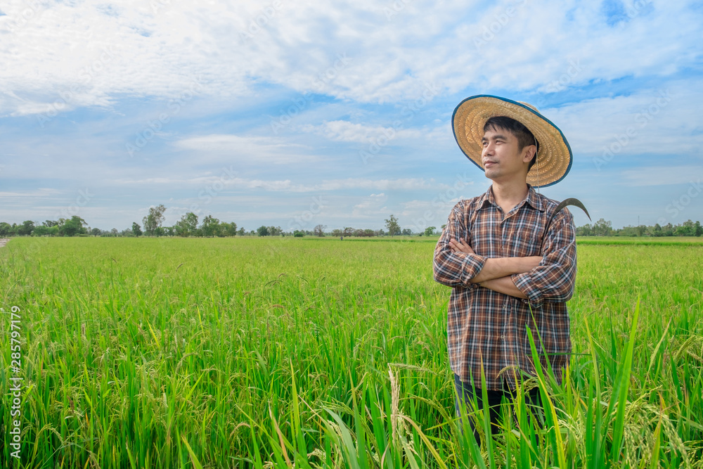 亚洲农民男性站在那里，微笑着看着天空，看着绿色的稻田和蓝天。