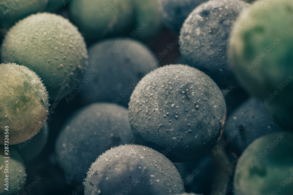 Close up fresh frozen green and blue grape grains background. Macro view.