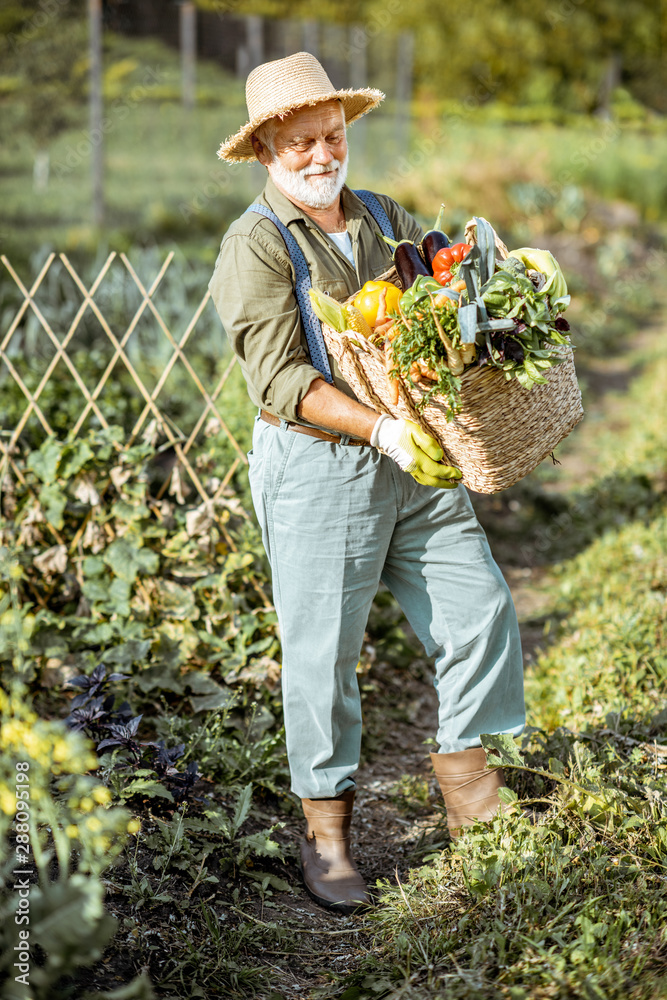 一位衣着考究的高级农学家的肖像，上面放着装满新鲜采摘蔬菜的篮子