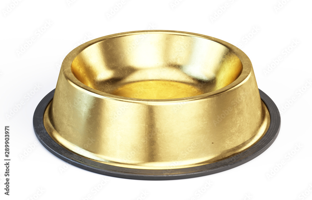 金色金属宠物碗隔离在白色背景上。3d渲染