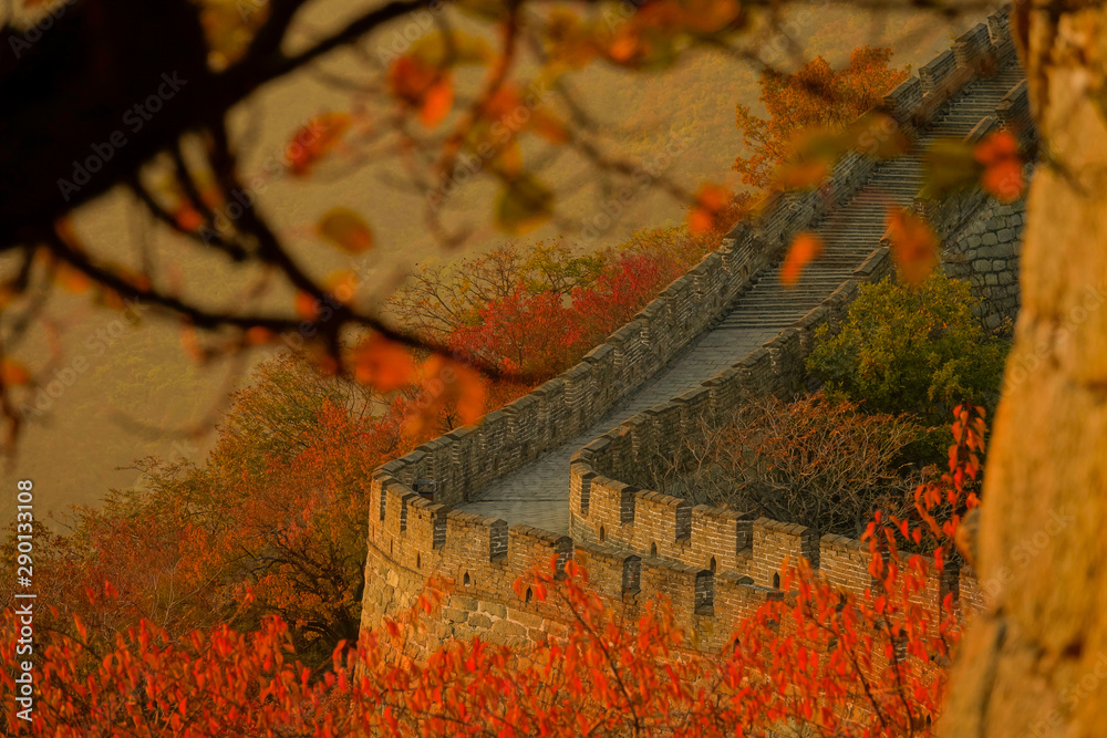 特写：令人惊叹的秋天彩色森林环绕着金色的中国长城