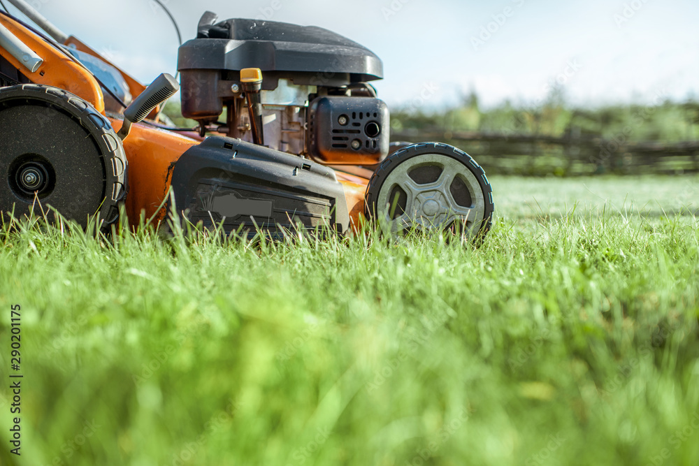 Gasoline lawn mower cutting grass, close-up with copy space. Backyard care concept