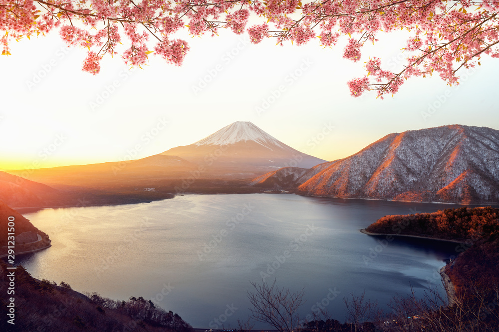 日出富士山和粉色樱花