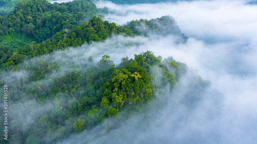 热带雨林山的亚洲晨雾鸟瞰图，美丽的森林背景和