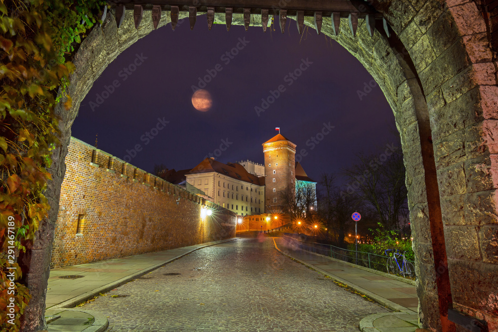 波兰克拉科夫皇家瓦维尔城堡夜间之门