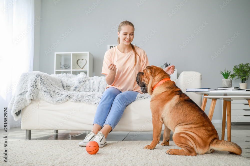 快乐女人在家训练可爱的狗狗