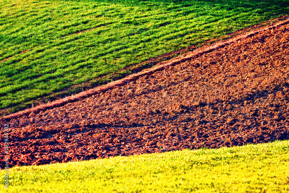 绿色、黄色和棕色农田行在春季特写。乡村背景