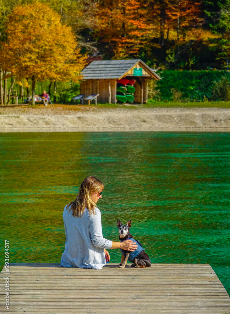 特写女游客坐在翡翠池塘边的码头上抚摸她的小狗