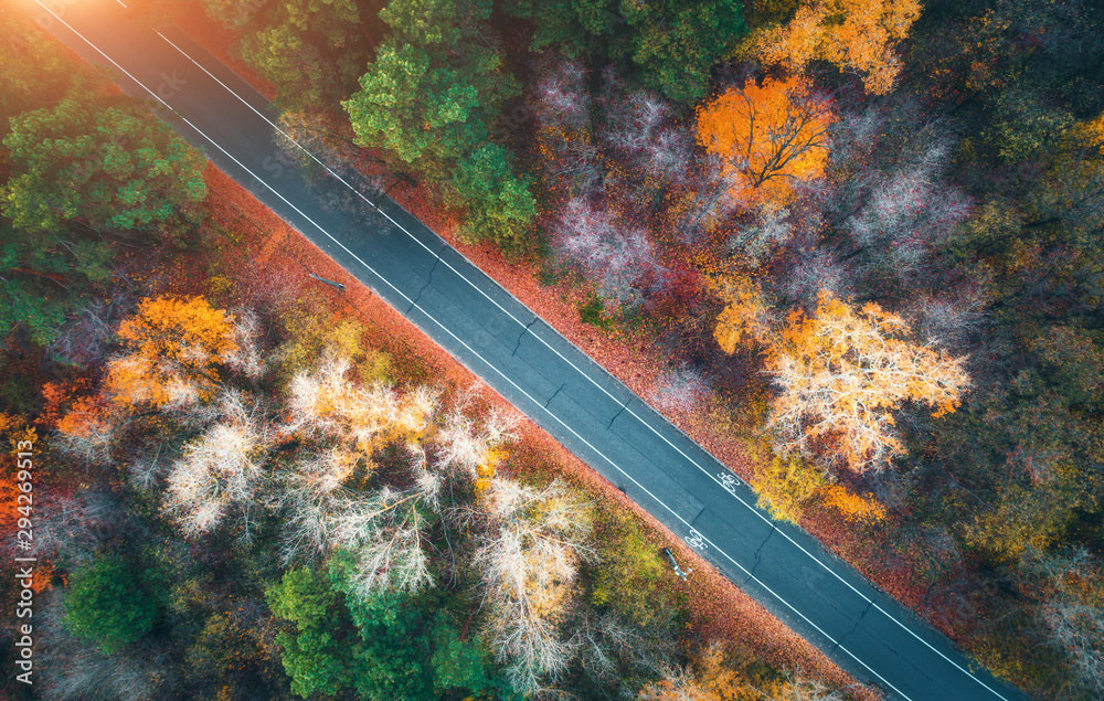 日落时美丽的秋林中的道路鸟瞰图。从远处看，五颜六色的风景和空旷的道路