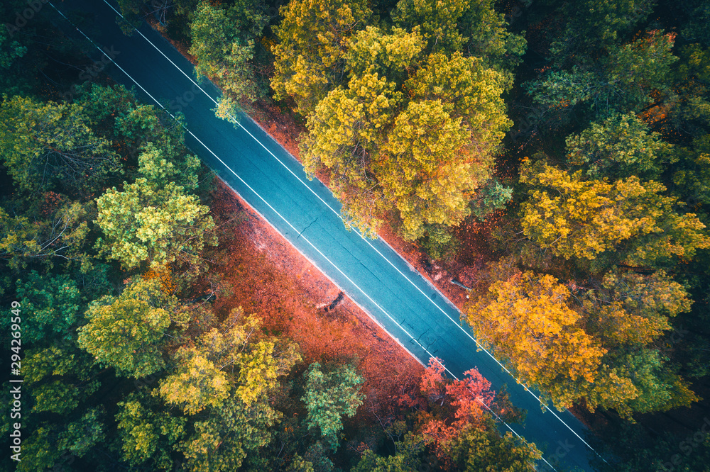 日落时分，美丽的秋林中的道路鸟瞰图。空旷的柏油路，五颜六色的景观