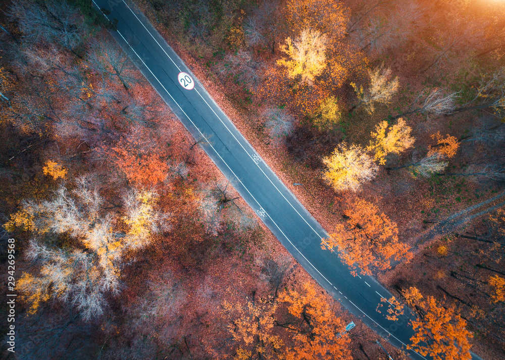 日落时分，美丽的秋林中的道路鸟瞰图。空旷的乡村道路，五彩缤纷。