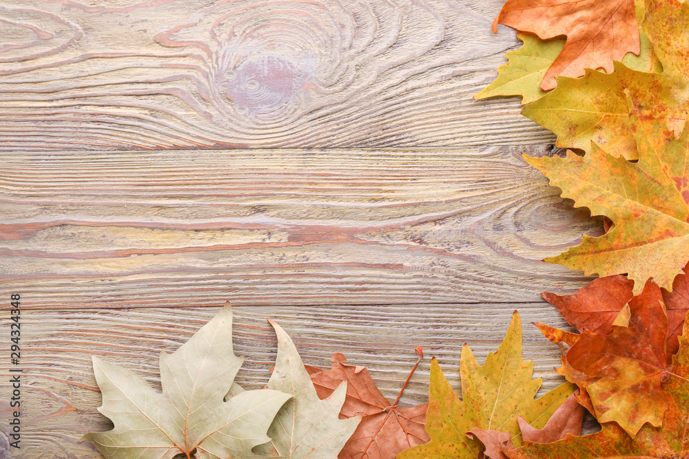 Different autumn leaves on wooden background