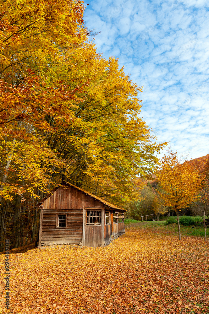 秋季旺季美丽的木屋