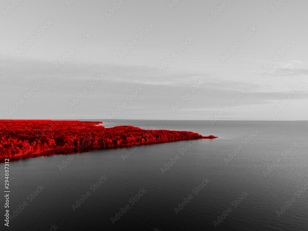 黑白海岸、红色森林和树木的抽象鸟瞰图。海岸线和水。La