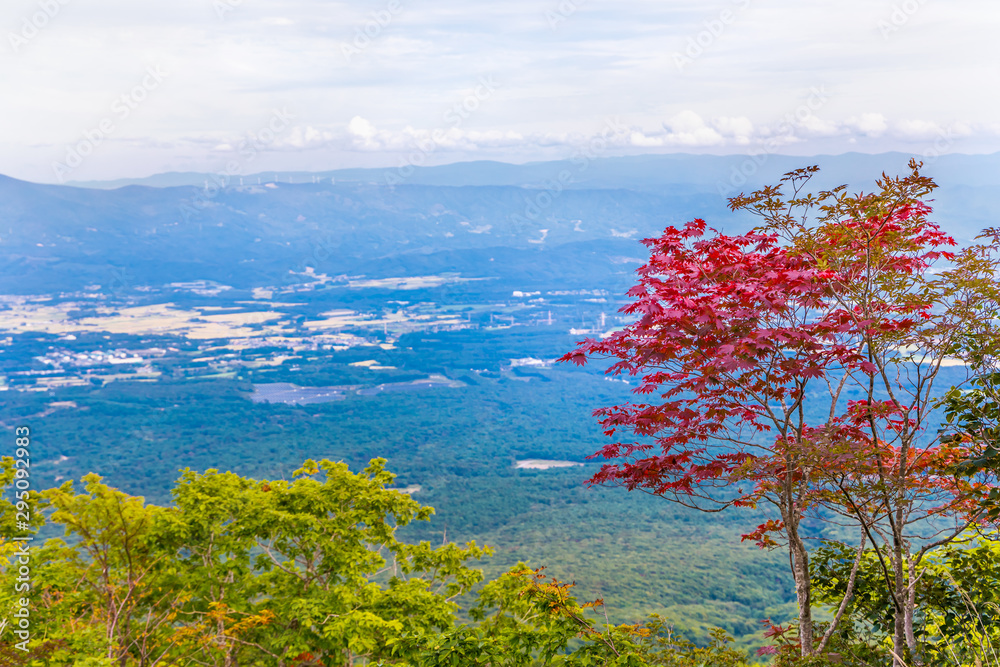岩手山から見る景色　紅葉の楓
