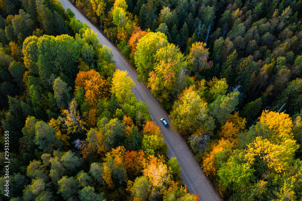 拉脱维亚秋天的自然。森林和道路。俯视。