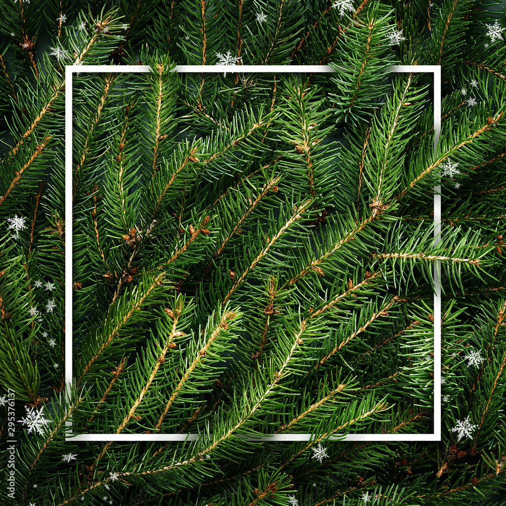 雪覆盖的圣诞树枝。绿色树枝的框架。节日的圣诞边界