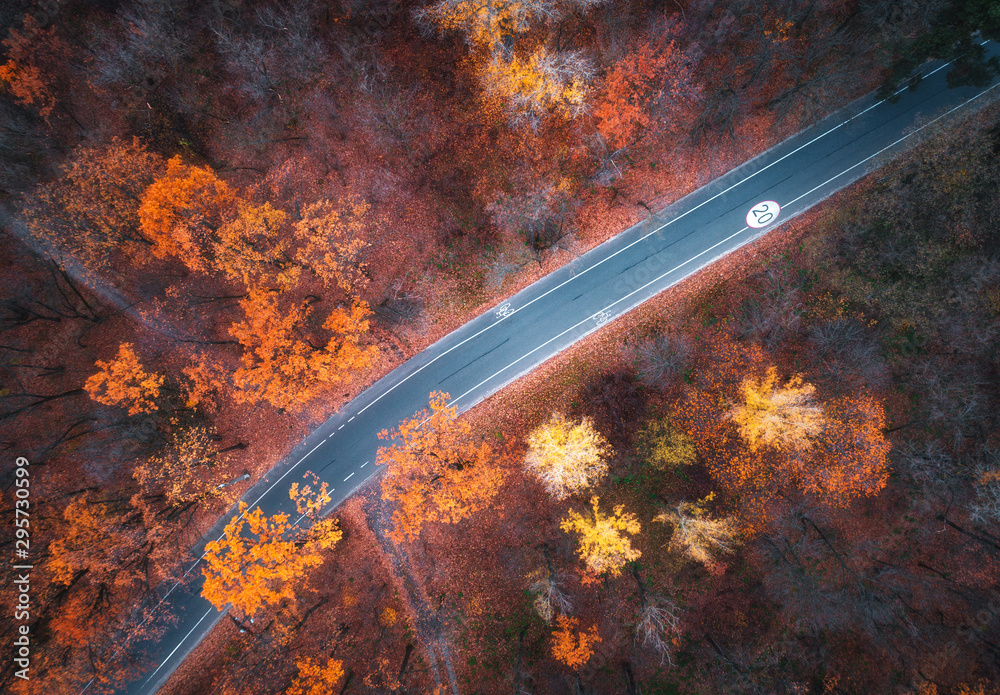 日落时美丽的秋林中的道路鸟瞰图。ab处的彩色景观和空旷的道路
