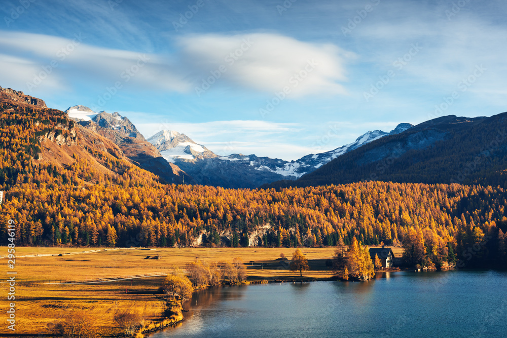 瑞士阿尔卑斯山脉的秋季西尔斯湖（Silsersee）。背景是雪峰和橘子树。Sw