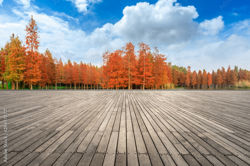 秋天空旷的木板广场和美丽的彩色森林