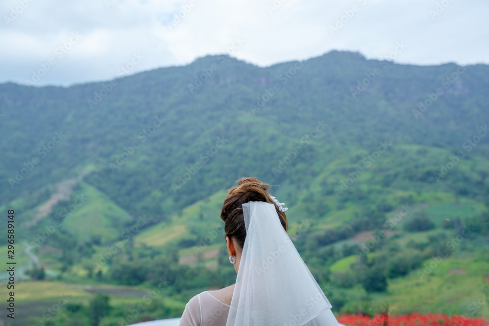 面纱背后的新娘，山上新娘的时尚肖像。