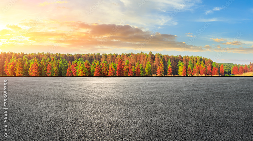 秋季空旷的赛道场地和美丽多彩的森林景观