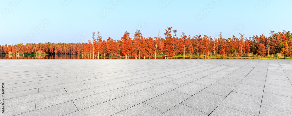 空旷的方形地板，秋天美丽的彩色森林