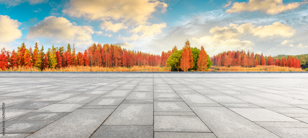 空旷的方形地板，秋天美丽的彩色森林