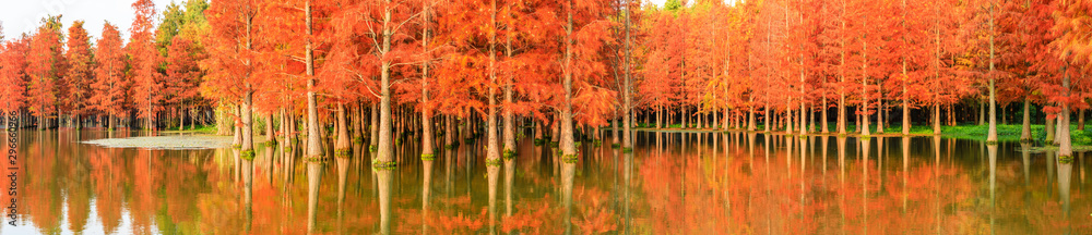 美丽多彩的秋季森林景观