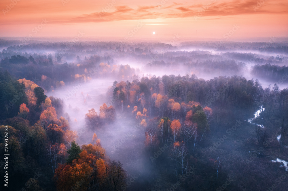 Aerial view of foggy forest at colorful sunrise in autumn. Amazing landscape with colorful trees in 