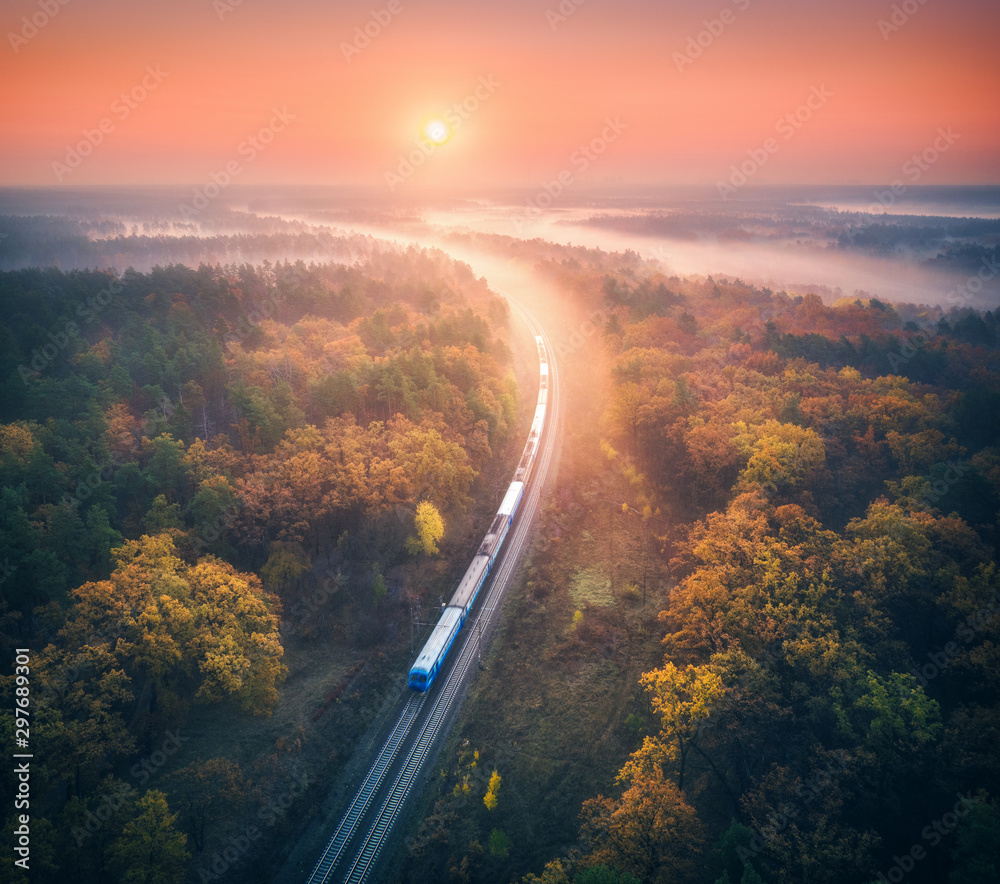 Train in beautiful forest in fog at sunrise in autumn. Aerial view of commuter train in fall. Colorf
