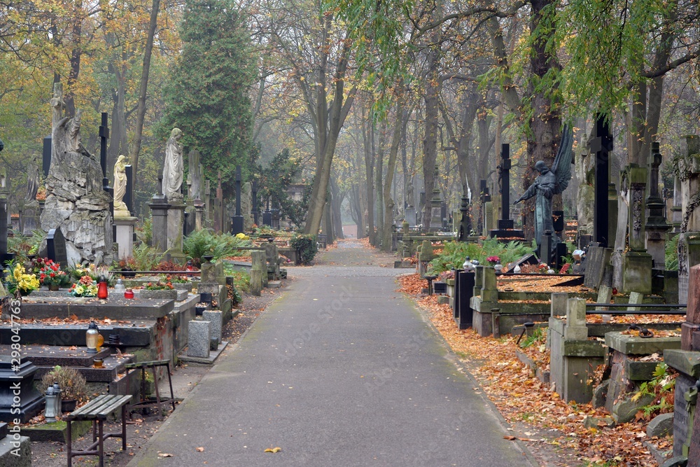 旧墓地的墓碑和树木。