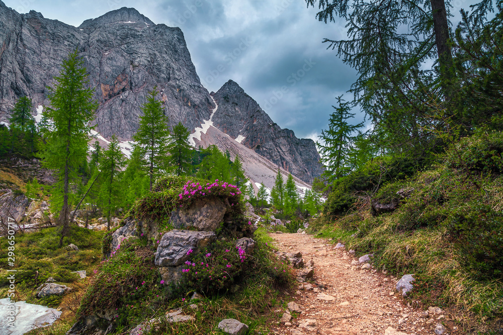 斯洛文尼亚朱利安阿尔卑斯山美丽的春季景观和徒步旅行路线