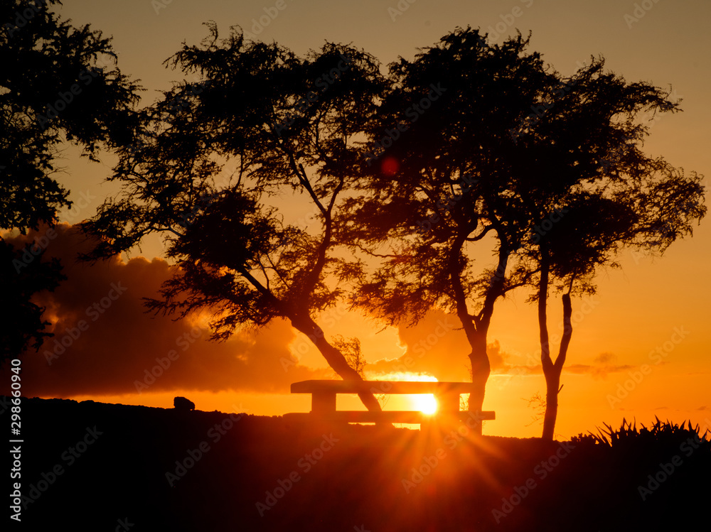 夏威夷毛伊岛公园的金色日落
